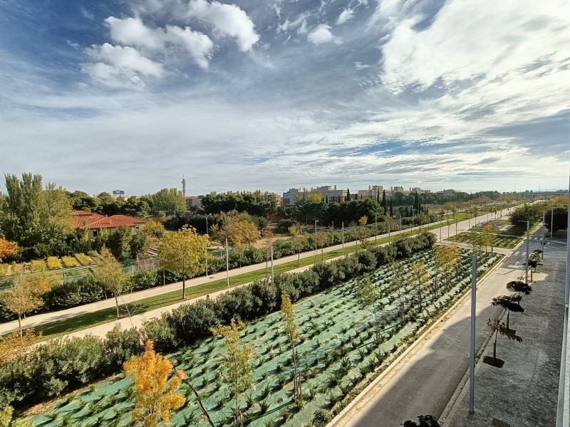 Entorno del Anillo Verde, Zaragoza, donde se ubica el Edificio Dahlia Park