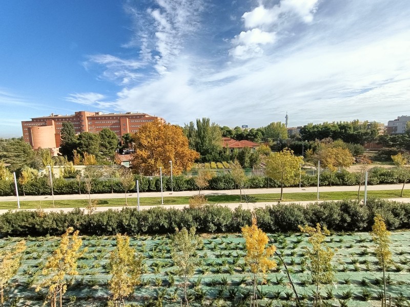 Entorno del Anillo Verde, Zaragoza, donde se ubica el Edificio Dahlia Park